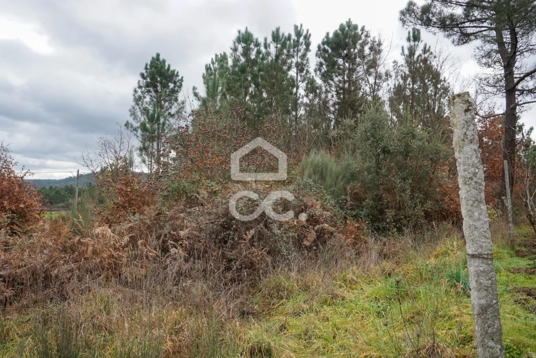 Terreno para Venda em Calde Foto 4