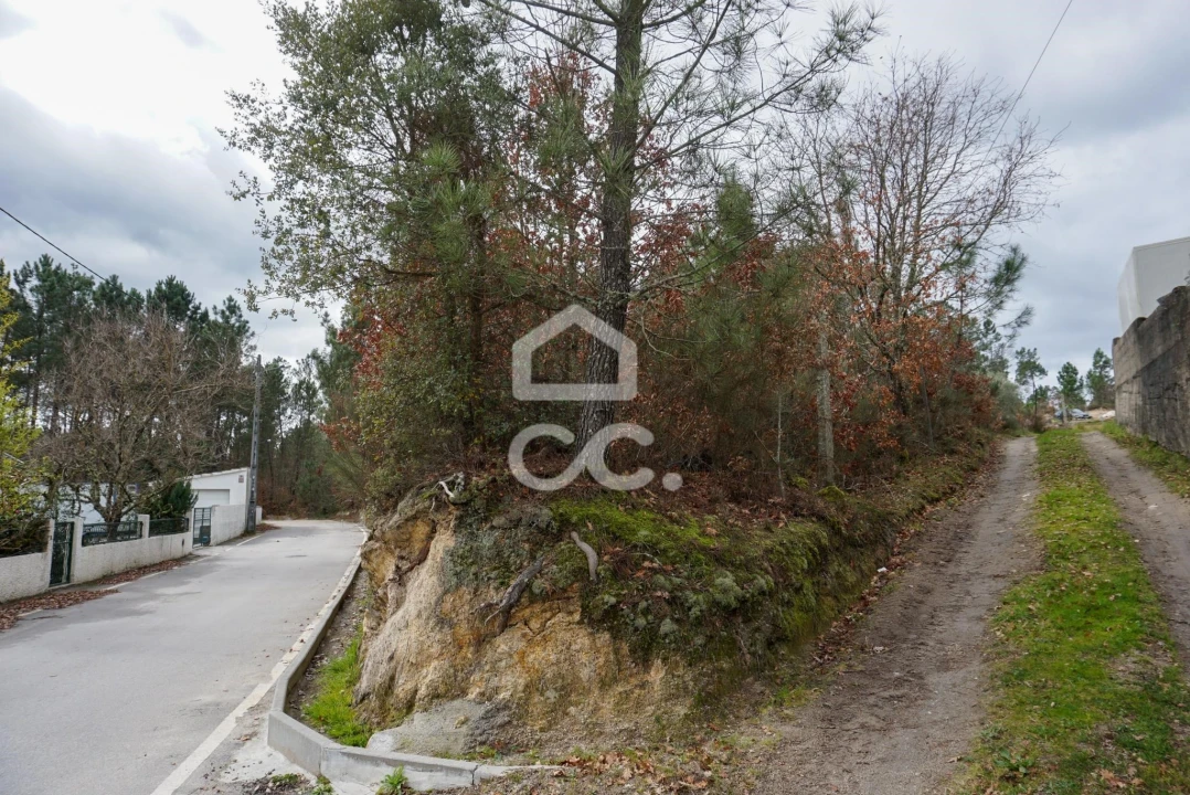 Terreno para Venda em Calde Foto 2