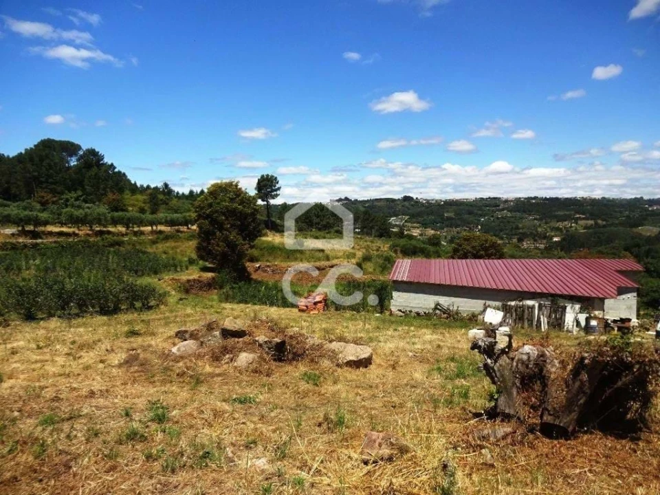 Quinta para Venda em Viseu Foto 13