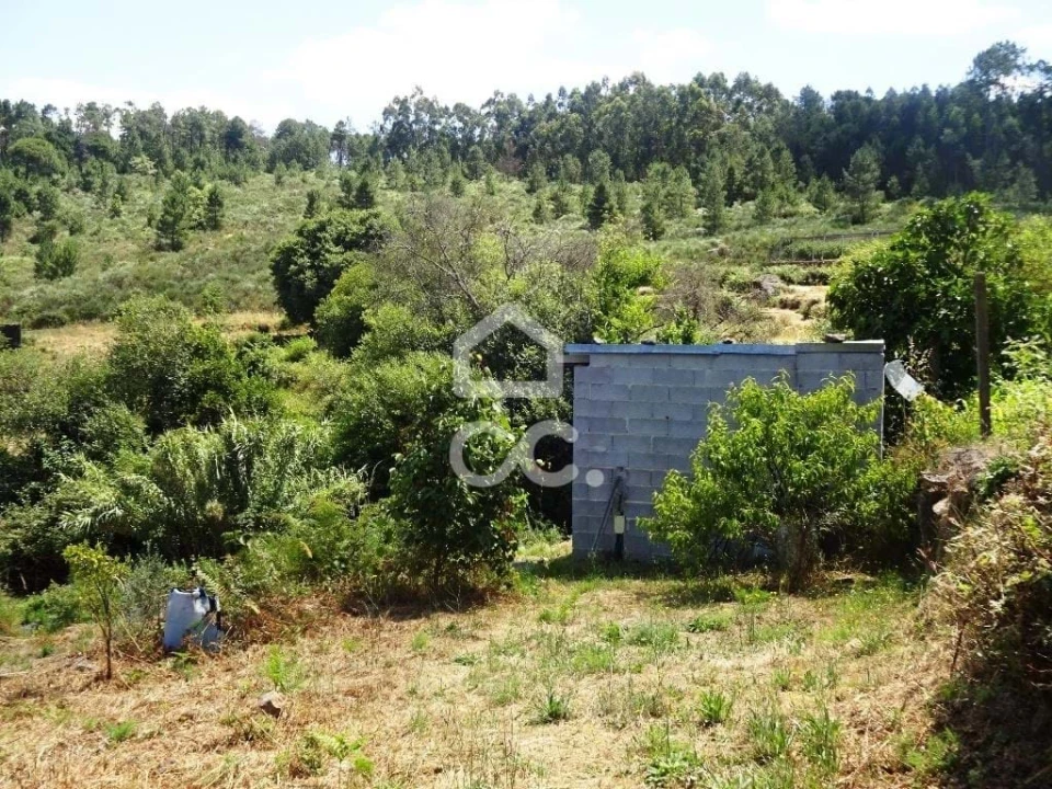 Quinta para Venda em Viseu Foto 8