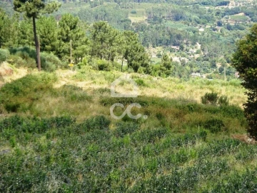 Quinta para Venda em Viseu
