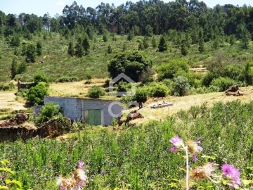 Quinta para Venda em Viseu