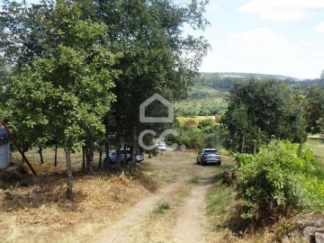 Quinta para Venda em Viseu