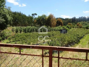 Quinta para Venda em Viseu