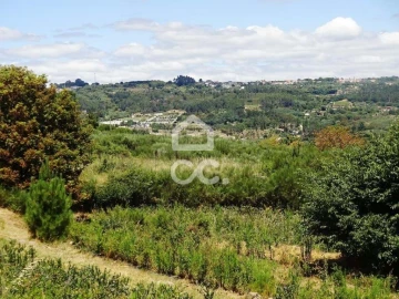 Quinta para Venda em Viseu