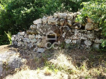 Quinta para Venda em Viseu