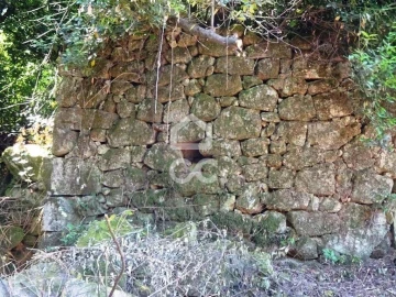 Quinta para Venda em Viseu