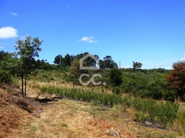 Quinta para Venda em Viseu