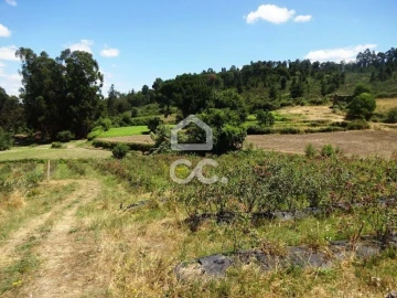 Quinta para Venda em Viseu
