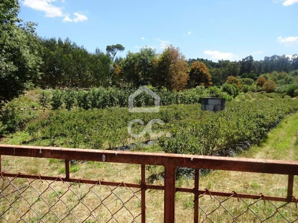 Quinta para Venda em Viseu Foto 36