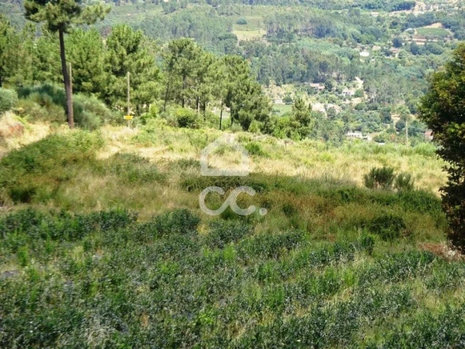 Quinta para Venda em Viseu Foto 5