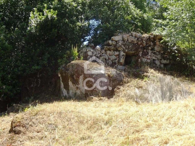 Quinta para Venda em Viseu Foto 23