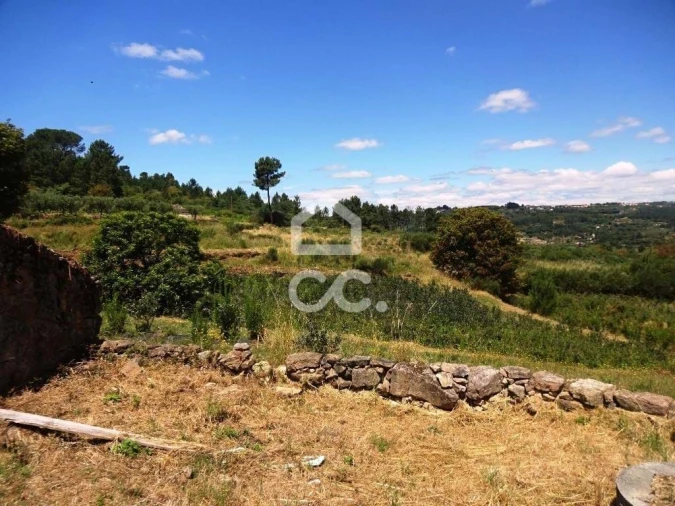 Quinta para Venda em Viseu Foto 14
