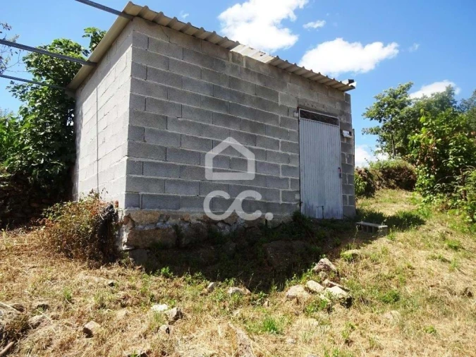 Quinta para Venda em Viseu Foto 9