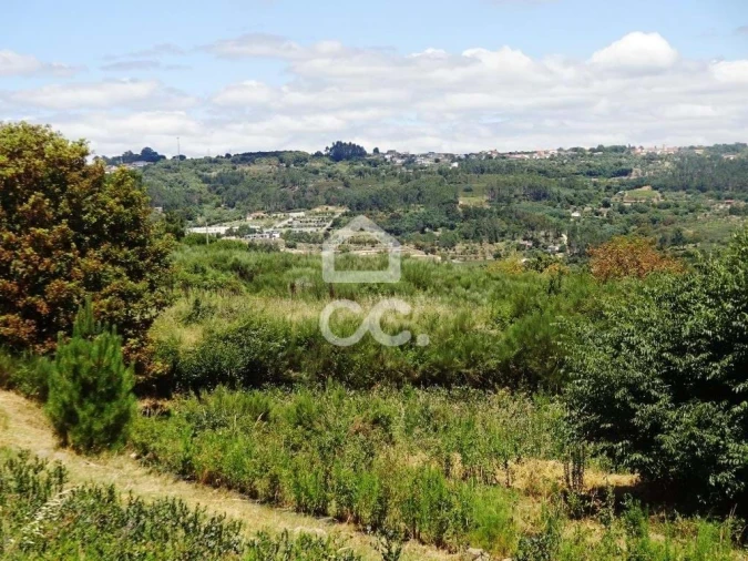 Quinta para Venda em Viseu Foto 15