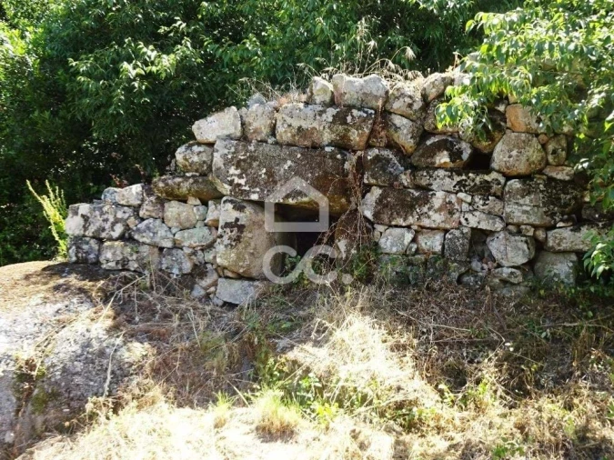 Quinta para Venda em Viseu Foto 22