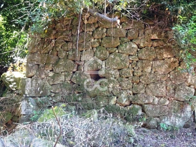 Quinta para Venda em Viseu Foto 21