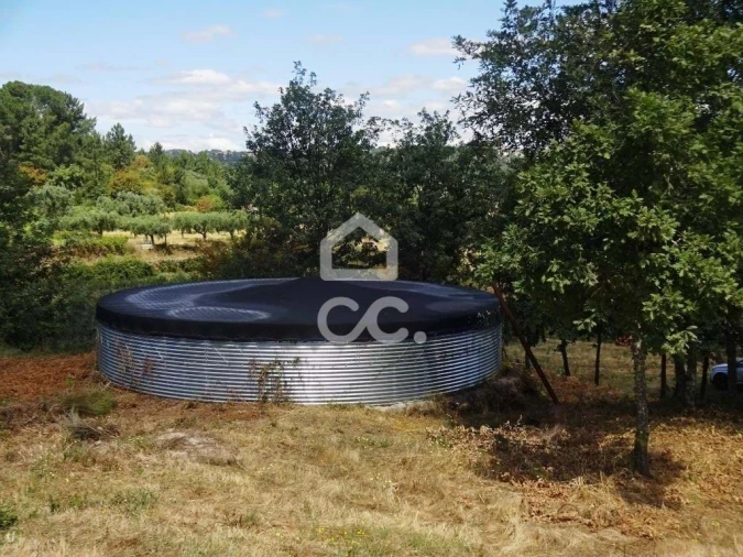 Quinta para Venda em Viseu Foto 3