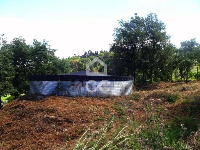 Quinta para Venda em Viseu Foto 4