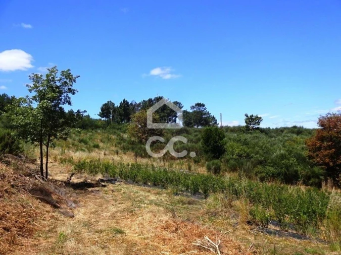 Quinta para Venda em Viseu Foto 20