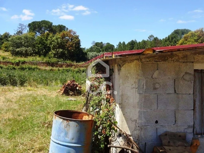 Quinta para Venda em Viseu Foto 28
