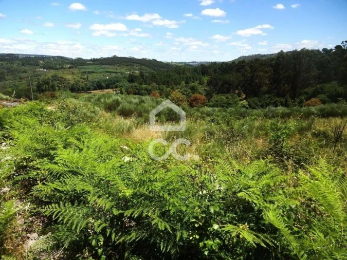 Quinta para Venda em Viseu Foto 30