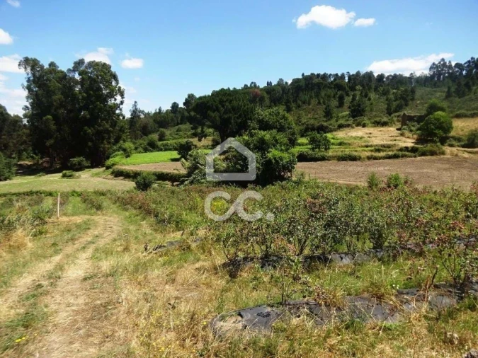 Quinta para Venda em Viseu Foto 17