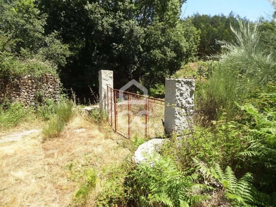 Quinta para Venda em Viseu Foto 35