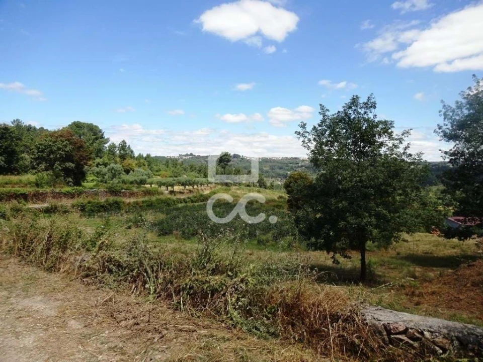 Quinta para Venda em Viseu Foto 2