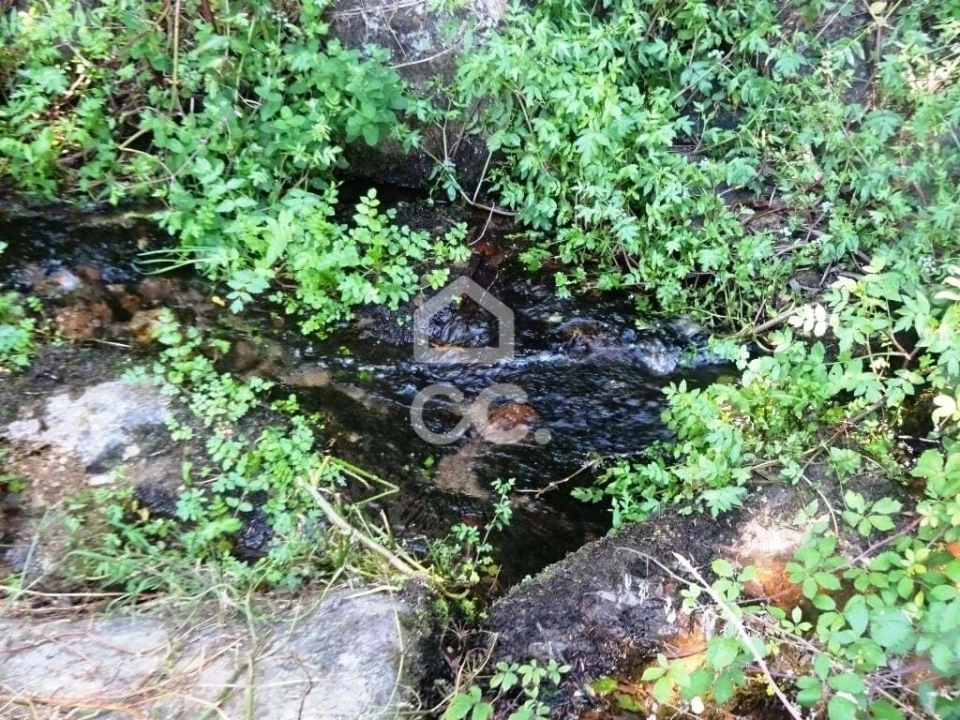 Quinta para Venda em Viseu Foto 24