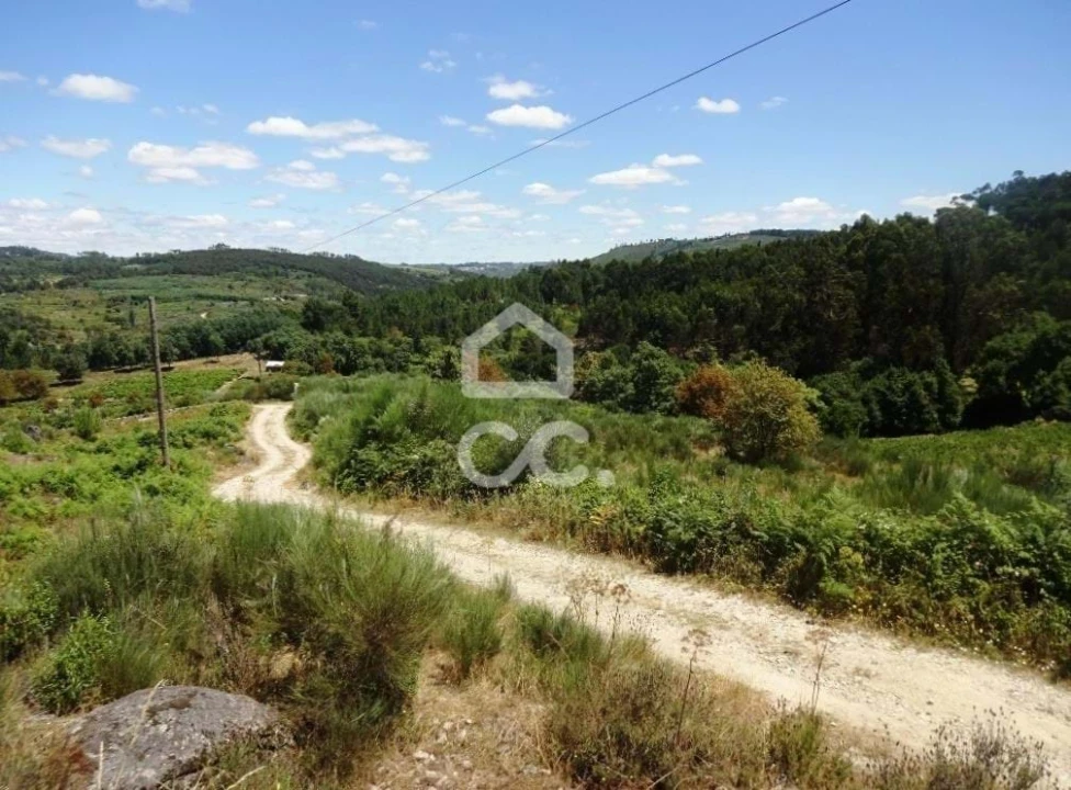 Quinta para Venda em Viseu Foto 31