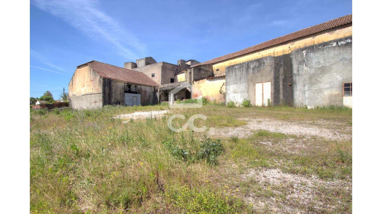 Armazém para Venda em Moita dos Ferreiros Foto 7