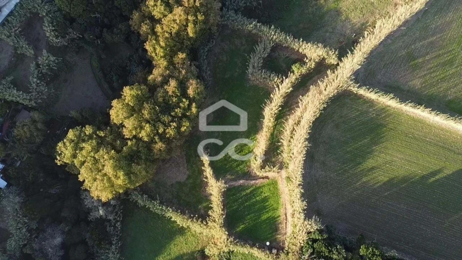 Terreno para Venda em Pilar da Bretanha Foto 2