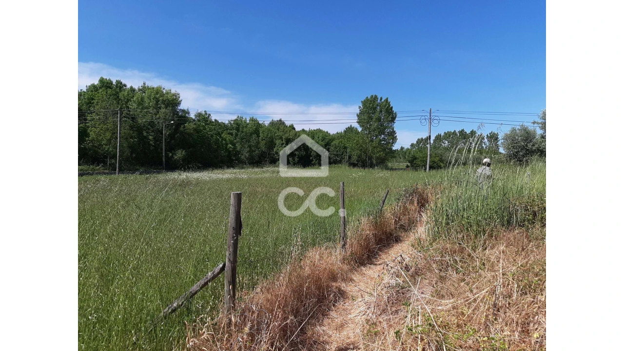 Terreno para Venda em Canas de Senhorim Foto 3
