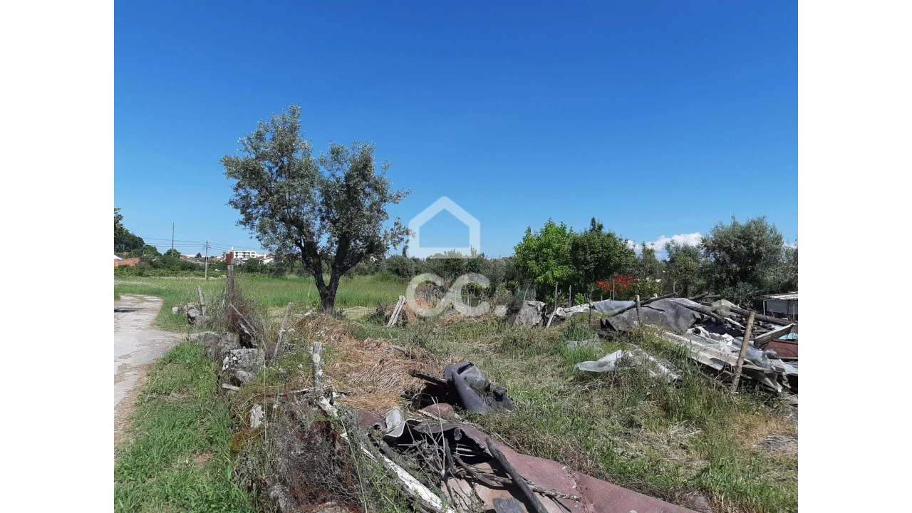 Terreno para Venda em Canas de Senhorim Foto 2