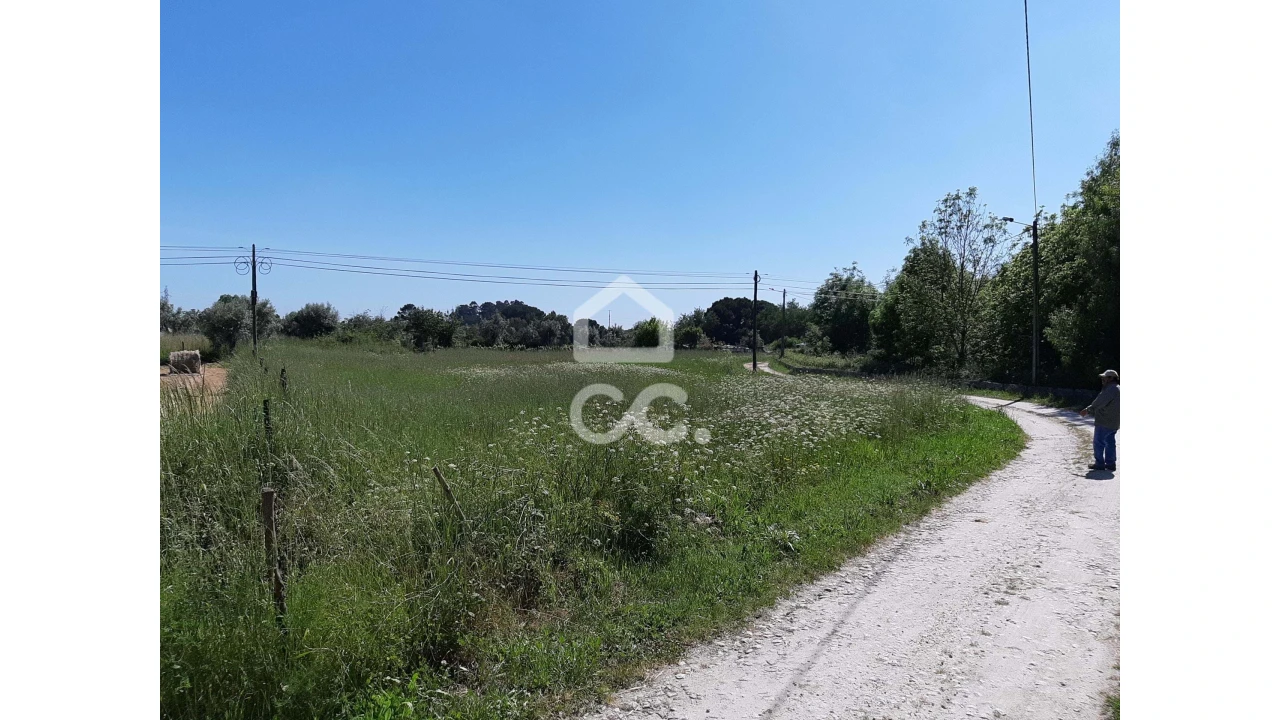 Terreno para Venda em Canas de Senhorim Foto 1