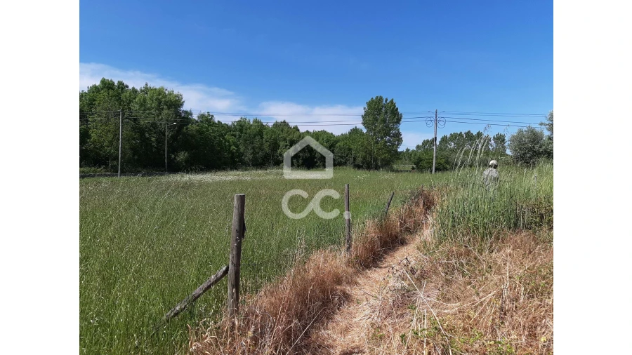 Terreno para Venda em Canas de Senhorim Foto 3