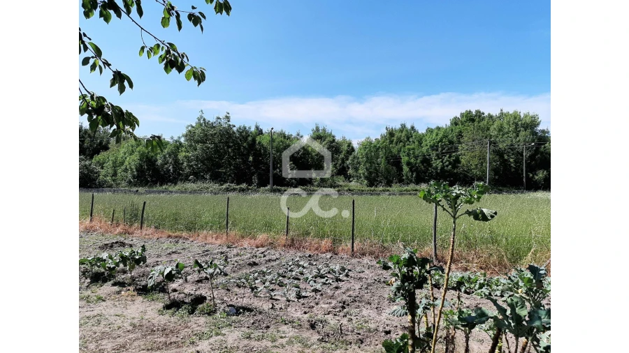 Terreno para Venda em Canas de Senhorim Foto 5
