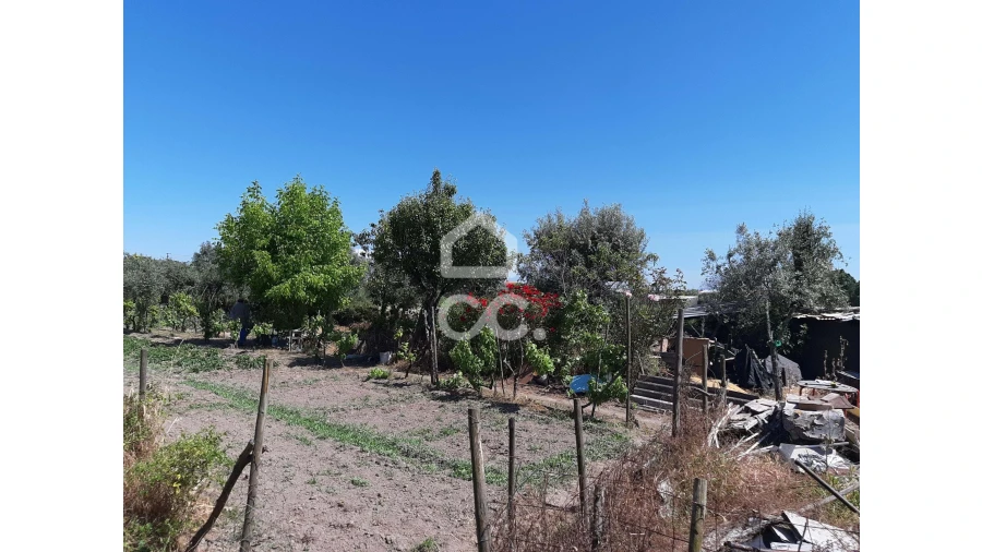 Terreno para Venda em Canas de Senhorim Foto 7