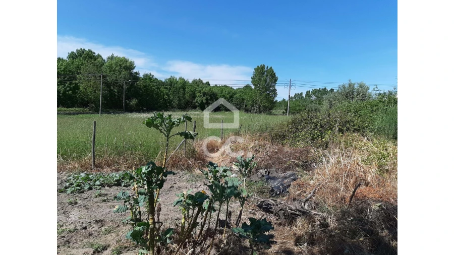 Terreno para Venda em Canas de Senhorim Foto 6