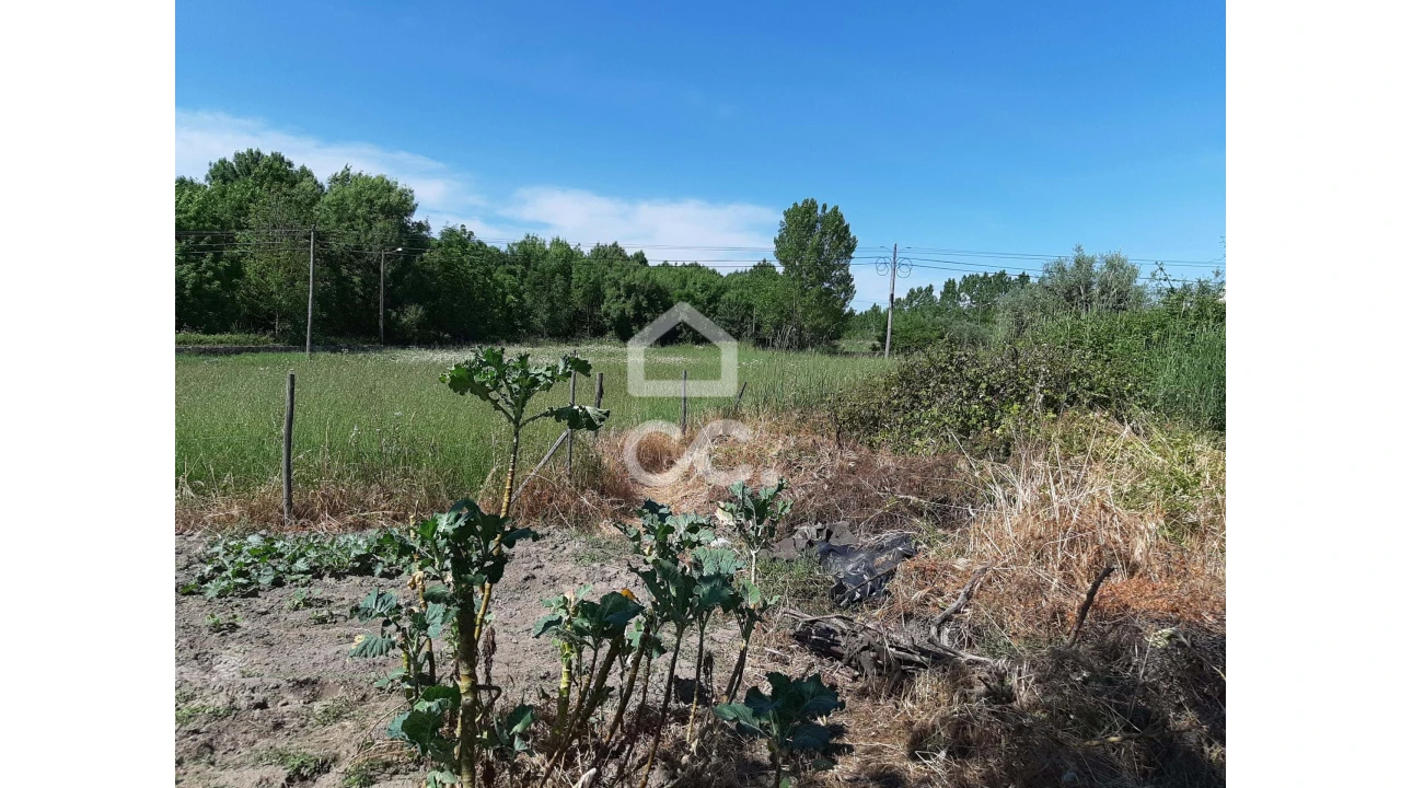 Terreno para Venda em Canas de Senhorim Foto 6