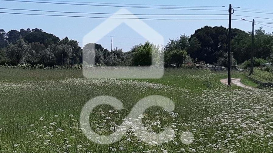 Terreno para Venda em Canas de Senhorim