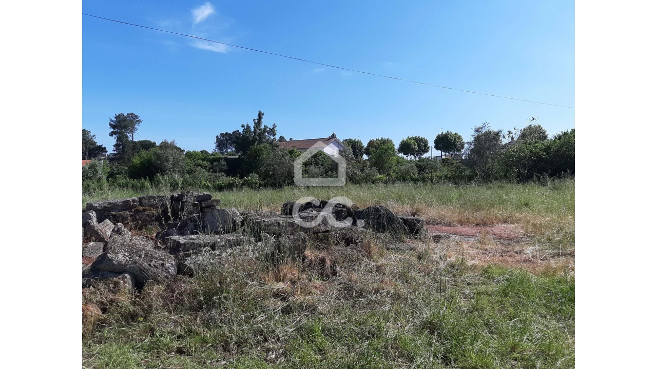 Terreno para Venda em Canas de Senhorim Foto 3