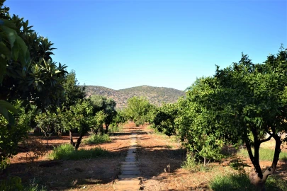Moradia T3 para Venda em Loule (São Clemente)
