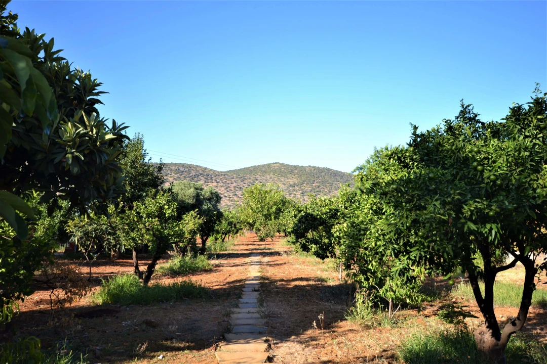 Moradia T3 para Venda em Loule (São Clemente) Foto 23