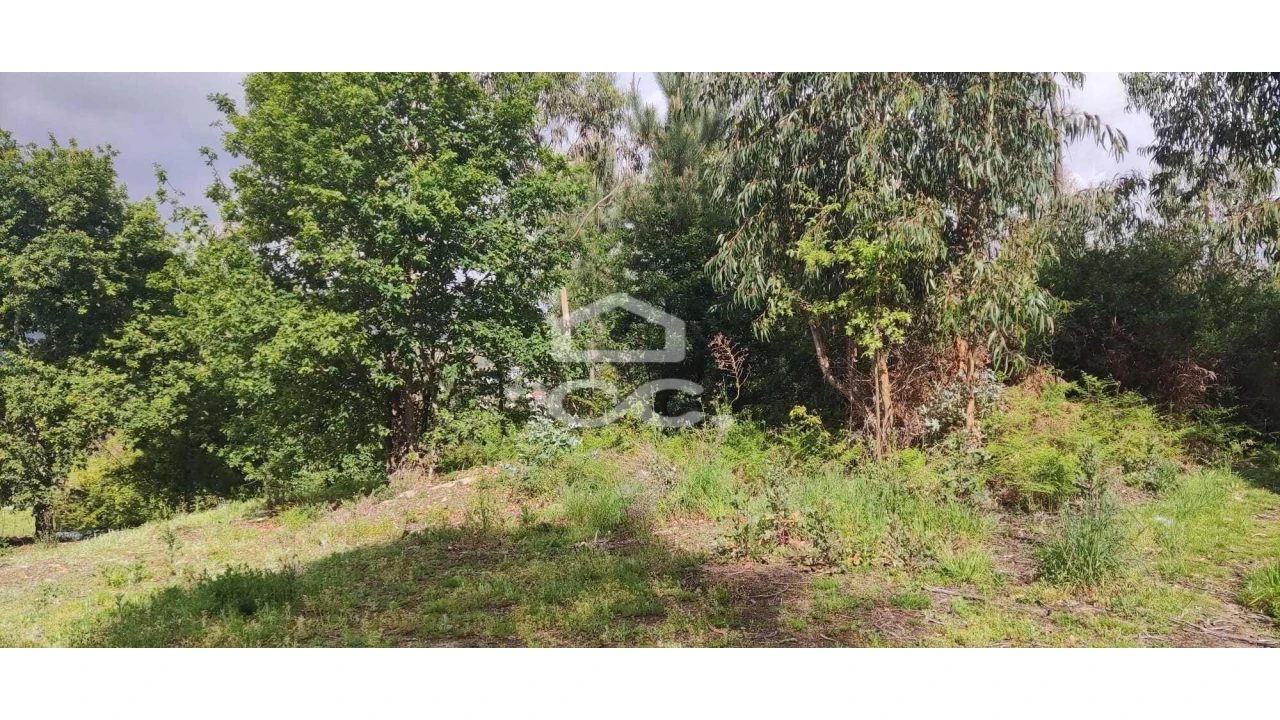 Terreno para Venda em Cepães e Fareja Foto 8