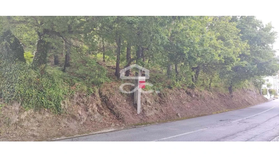 Terreno para Venda em Cepães e Fareja Foto 3