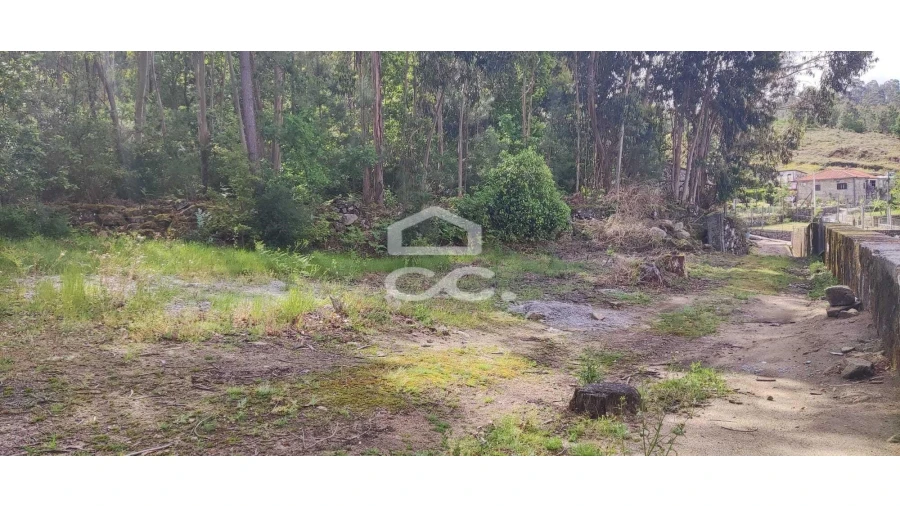 Terreno para Venda em Cepães e Fareja Foto 6