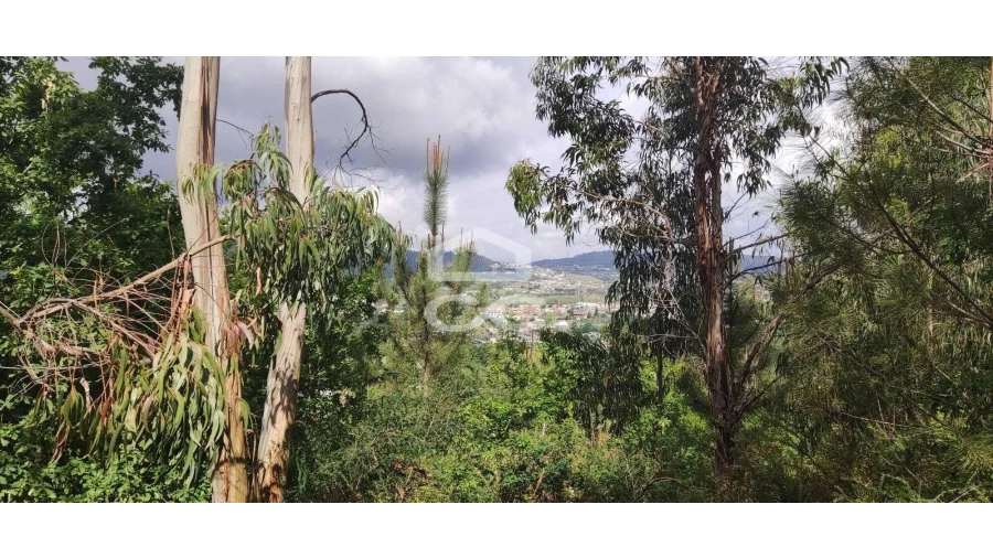 Terreno para Venda em Cepães e Fareja Foto 5