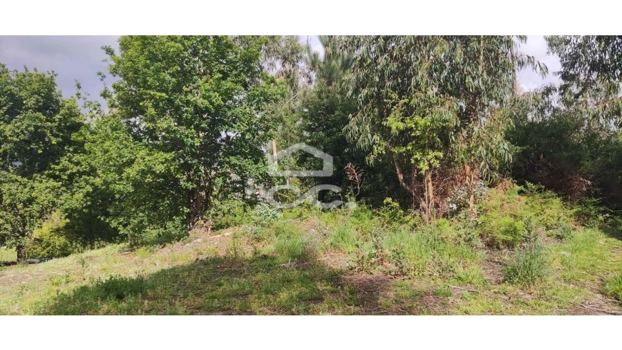 Terreno para Venda em Cepães e Fareja Foto 8